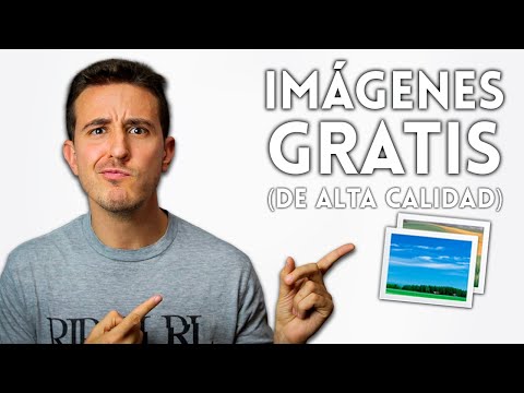 Enredaderas PNG: Imágenes de calidad para tus diseños