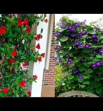 Enredaderas con flor rosa: Belleza natural en tu jardín