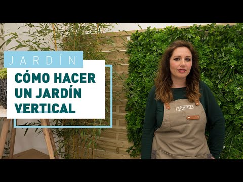 Plantar enredaderas en macetas: guía completa para un jardín vertical