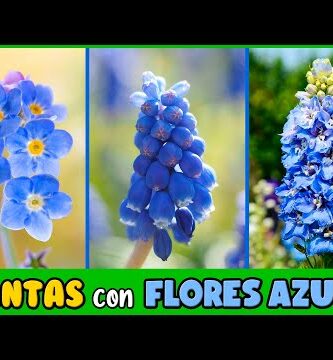 Enredaderas azules: la belleza natural que embellece tus espacios