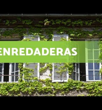 Enredaderas: Nombre científico, características y cuidados