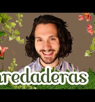 Enredaderas florales: la belleza que se trepa